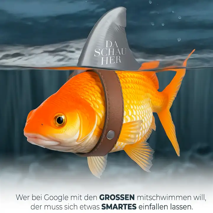 DA SCHAU HER ... mit uns bei Google auf Seite 1